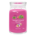 Yankee Candle - Ароматна свещ ART IN THE PARK голяма 567 г 60-90 часа