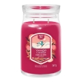 Yankee Candle - Ароматна свещ SANTA ON SKIS голяма 567g 60-90 ч.