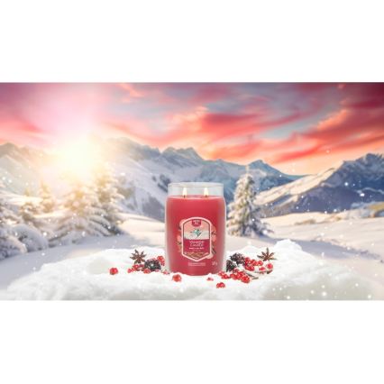 Yankee Candle - Ароматна свещ SANTA ON SKIS голяма 567g 60-90 ч.