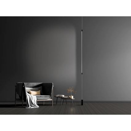 Zambelis 20184 - LED Лампион LED/22W/230V