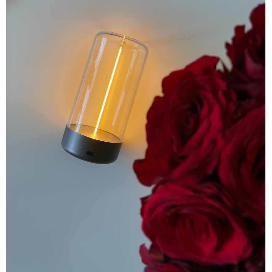 Zuma Line - LED Димируема акумулаторна настолна лампа LED/0,5W/230V черен IP54