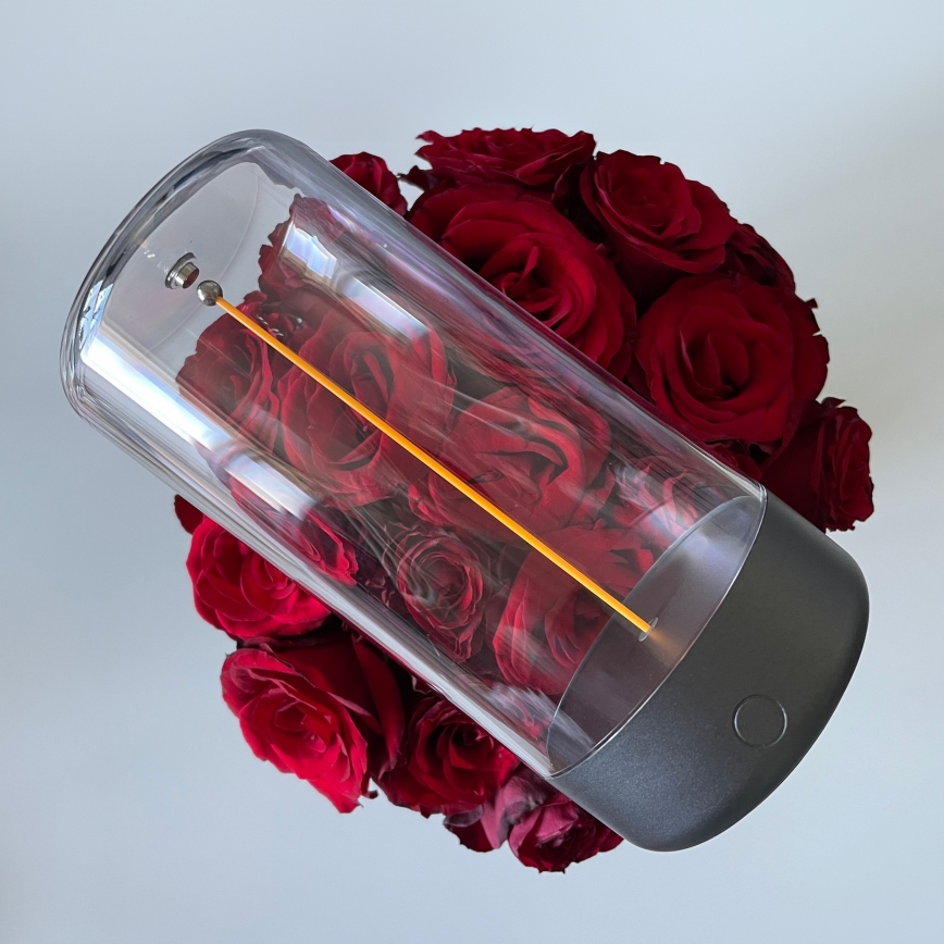 Zuma Line - LED Димируема акумулаторна настолна лампа LED/0,5W/230V черен IP54