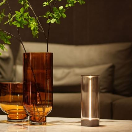 Zuma Line - LED Димируема акумулаторна настолна лампа LED/1,2W/230V сив IP54