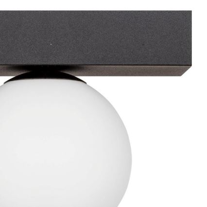 Zuma Line - Плафон 1xG9/8W/230V черен