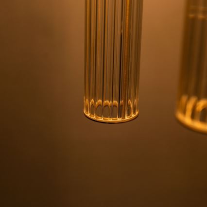 Zuma Line - Полилей на кабел 3xE14/7W/230V златист