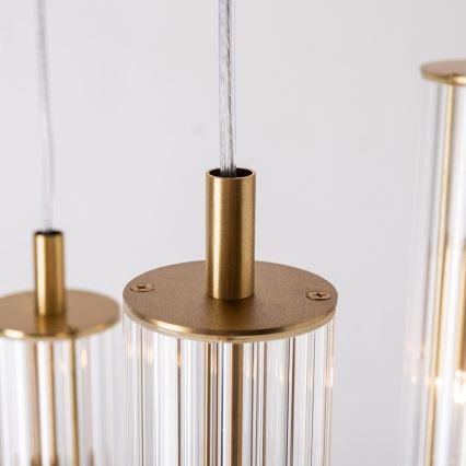 Zuma Line - Полилей на кабел 3xE14/7W/230V златист