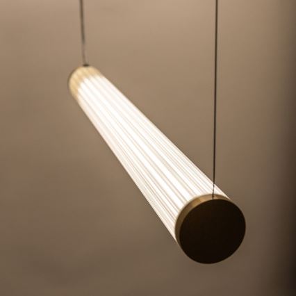Zuma Line - LED полилей на кабел с възможност за димиране LED/64W/230V 2700-6500K златист + дистанционно управление