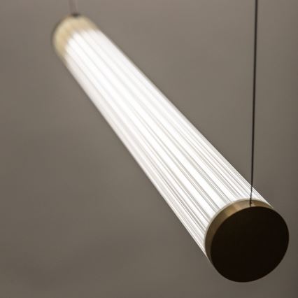 Zuma Line - LED полилей на кабел с възможност за димиране LED/64W/230V 2700-6500K златист + дистанционно управление