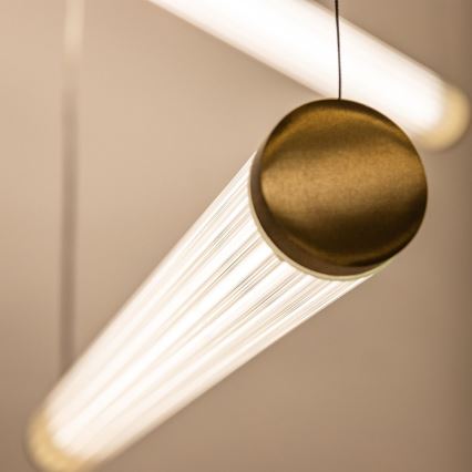 Zuma Line - LED полилей на кабел с възможност за димиране LED/64W/230V 2700-6500K златист + дистанционно управление
