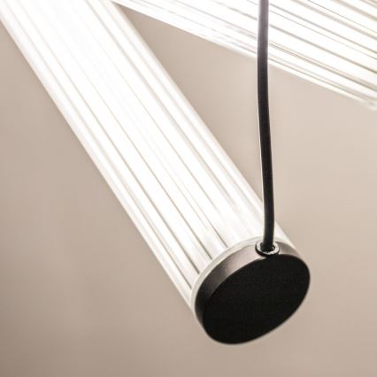 Zuma Line - LED полилей на кабел с възможност за димиране LED/64W/230V 2700-6500K черен + дистанционно управление
