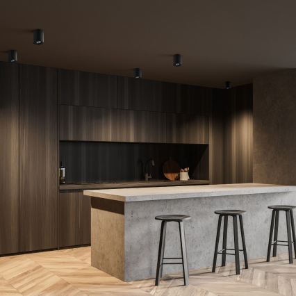 Zuma Line - LED RGBW димируемо точково осветително тяло 1xGU10/6W/230V черно + дистанционно управление