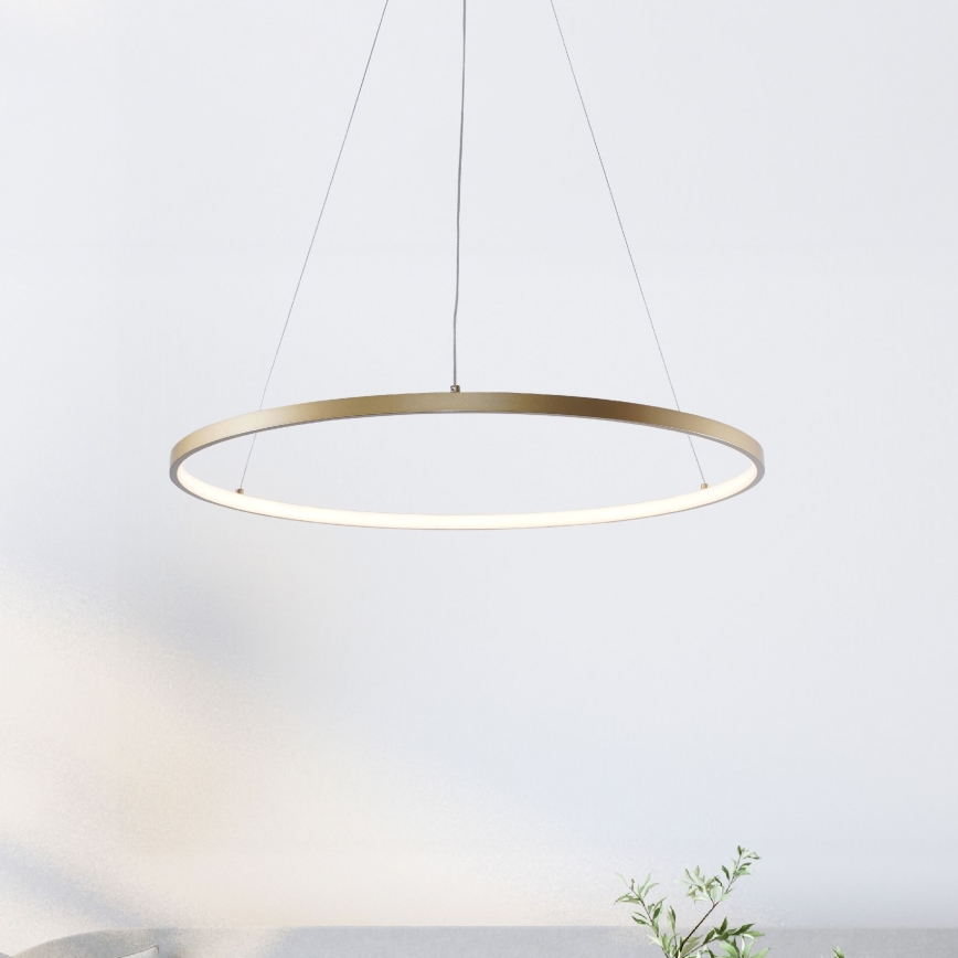 Zuma Line - LED Пендел LED/36W/230V 3000/4000/6000K Ø 80 см златист
