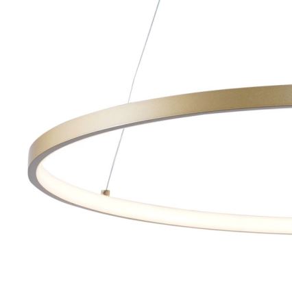 Zuma Line - LED Пендел LED/36W/230V 3000/4000/6000K Ø 80 см златист