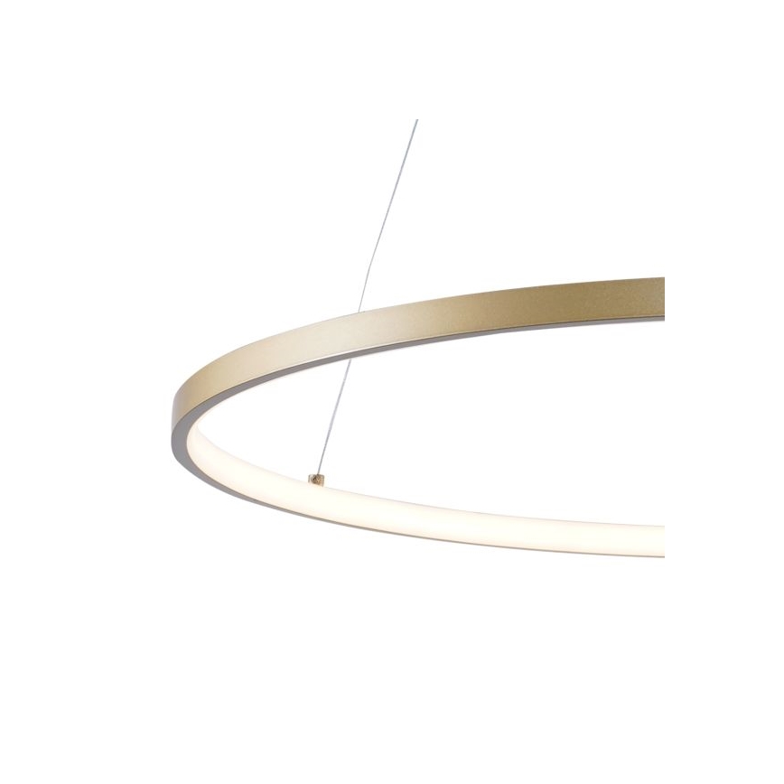 Zuma Line - LED Пендел LED/36W/230V 3000/4000/6000K Ø 80 см златист