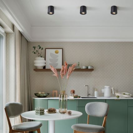 Zuma Line - Спот 1xGU10/50W/230V IP44 черен