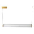 Zuma Line - Димируем LED полилей на кабел LED/39W/230V 2700-6500K златен + дистанционно управление