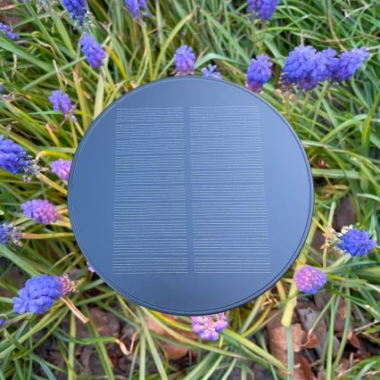 Zuma Line - LED Димируем соларен акумулаторен настолна лампа LED/2W/2000 mAh IP44 черен