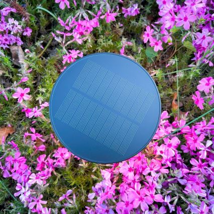 Zuma Line - LED Димируем соларен акумулаторен настолна лампа LED/2W/2000 mAh IP44 черен