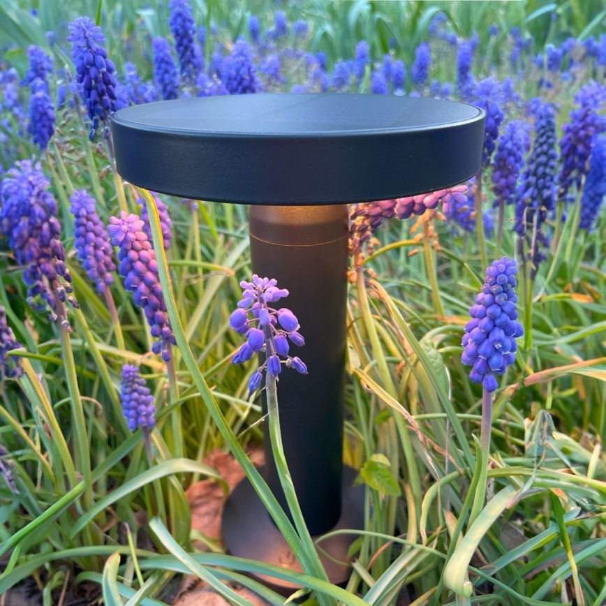 Zuma Line - LED регулируема соларна настолна лампа с вградена батерия LED/2W/2000 mAh IP44 черна