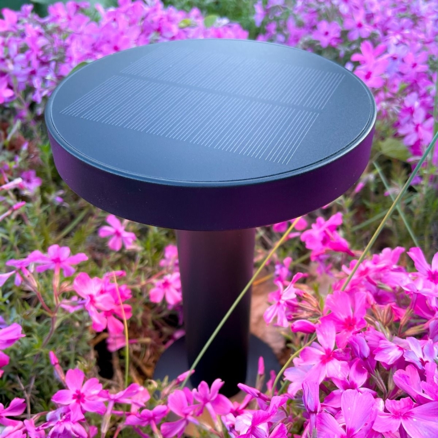 Zuma Line - LED регулируема соларна настолна лампа с вградена батерия LED/2W/2000 mAh IP44 черна