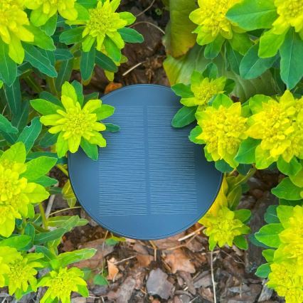 Zuma Line - LED регулируема соларна настолна лампа с вградена батерия LED/2W/2000 mAh IP44 черна