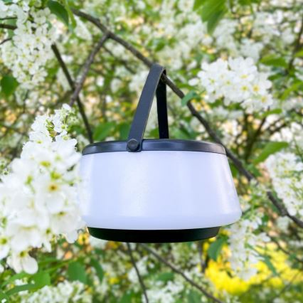 Zuma Line - LED регулируема соларна настолна лампа LED/2,2W/2000 mAh IP44 черна