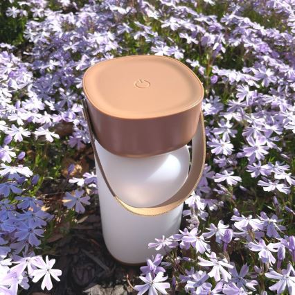 Zuma Line - LED Димируема акумулаторна настолна лампа LED/3W/1200 mAh 3000/4000/6500K IP44 кафяв