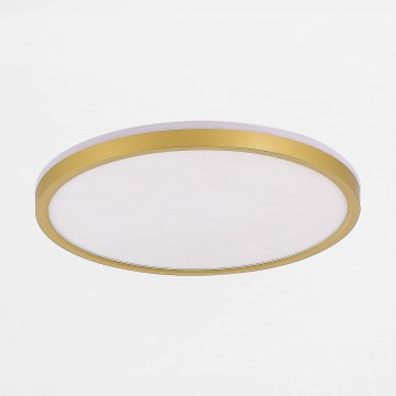 Zuma Line - LED Димируем плафон LED/26,5W/230V + LED/6,5W 3000/4000/5500K Ø 32 см златист