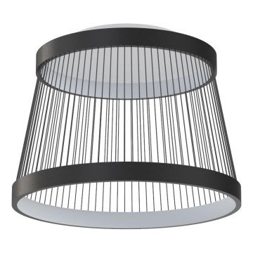 Zuma Line - LED Димируем плафон LED/32W/230V 2700-6000K черен + дистанционно управление