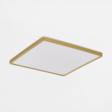 Zuma Line - LED Димируем плафон LED/38W/230V + LED/12W 3000/4000/5500K 40x40 см златист