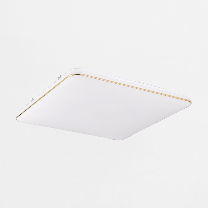 Zuma Line - LED Димируем плафон LED/48W/230V 53x53 cm златист