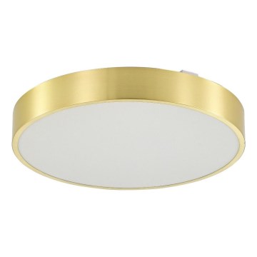 Zuma Line - LED Димируема лампа за баня за таван LED/50W/230V 3000-6000K Ø 50 см IP44 златист + дистанционно управление