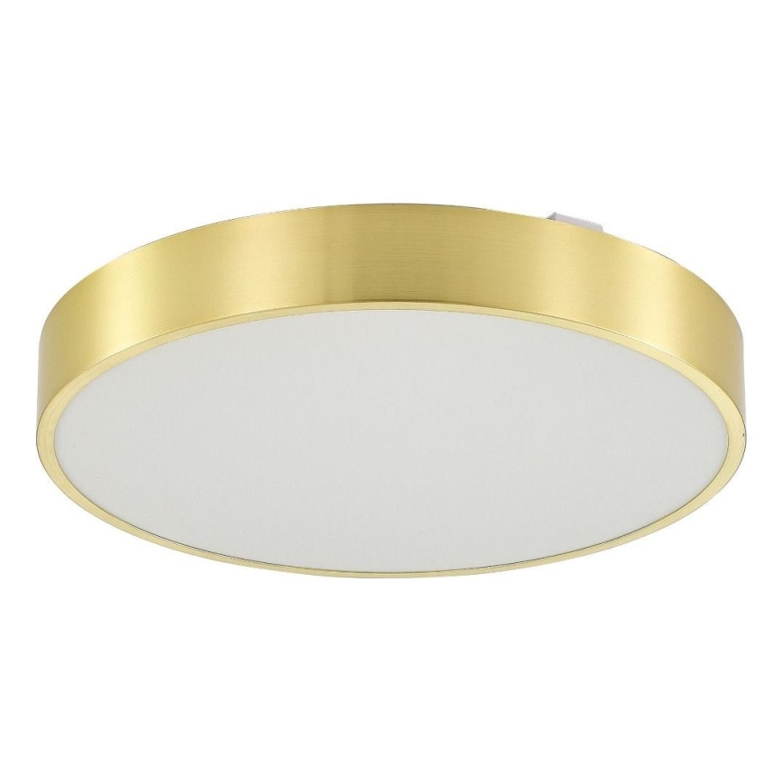 Zuma Line - LED Димируема лампа за баня за таван LED/50W/230V 3000-6000K Ø 50 см IP44 златист + дистанционно управление