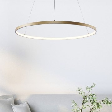 Zuma Line - LED Пендел LED/36W/230V 3000/4000/6000K Ø 80 см златист
