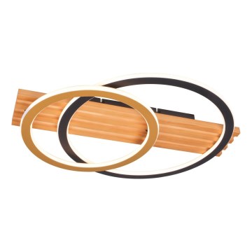 Zuma Line - LED плафон LED/40W/230V