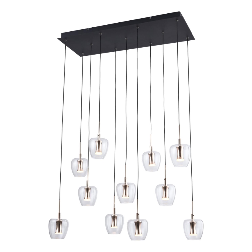 Zuma Line - LED полилей на кабел 11xLED/3W/230V черен