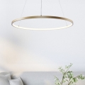 Zuma Line - LED полилей на кабел LED/36W/230V 3000/4000/6000K пр. 80 см златист