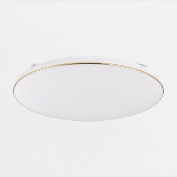 Zuma Line - LED регулируемо таванно осветително тяло OMAR LED/48W/230V диаметър 53 см златисто