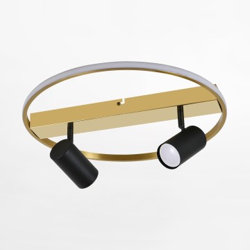 Zuma Line - LED Спот 2xGU10/40W/230V + LED/12W златист/черен