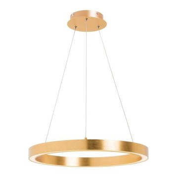 Zuma Line - LED Висящ полилей 1xLED/30W/230V 40см златист