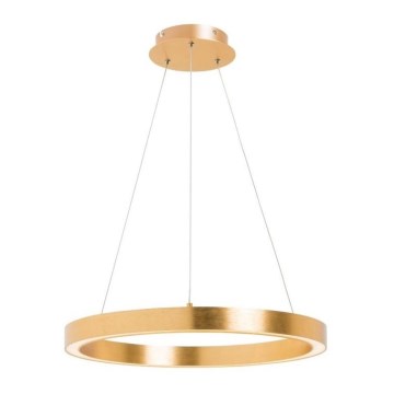 Zuma Line - LED Висящ полилей 1xLED/40W/230V ⌀ 50см златист