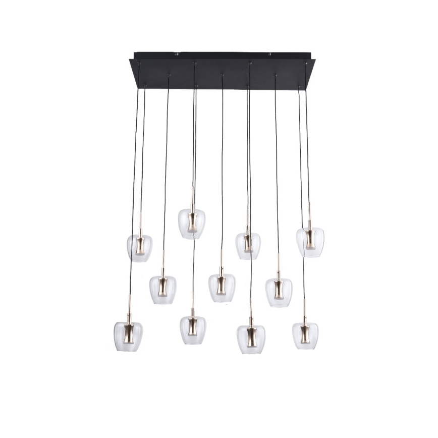 Zuma Line - LED полилей на кабел 11xLED/3W/230V черен