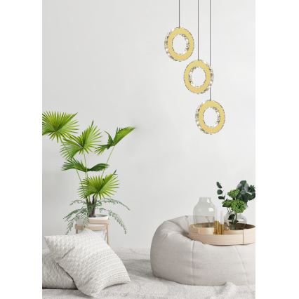 Zuma Line - LED полилей с възможност за димиране, окачен на кабел LED/10W/230V златист
