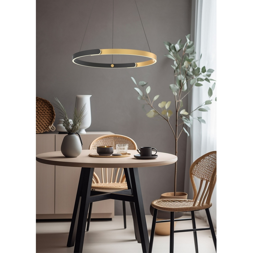Zuma Line - LED Димируем пендел LED/30W/230V черен/златист