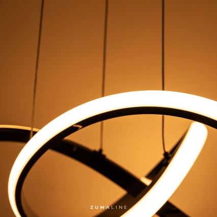 Zuma Line - LED регулируема люстра на кабел LED/44W/230V черен