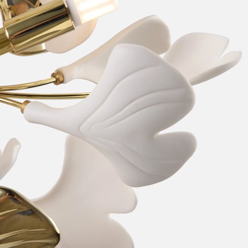 Zuma Line - Повърхностно монтиран полилей 6xG9/42W/230V Ø 70 см, златен