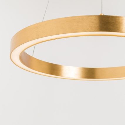 Zuma Line - LED Висящ полилей 1xLED/30W/230V 40см златист