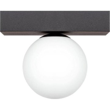 Zuma Line - Плафон 1xG9/8W/230V черен