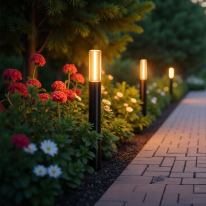 Zuma Line - Екстериорна лампа 1xE27/60W/230V IP54 черен