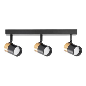 Zuma Line - Спот 3xGU10/50W/230V черен/златист